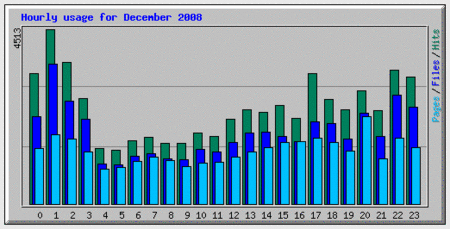 hourlyusage2008.gif