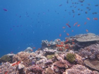 IMG 0801