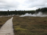 IMG 6905