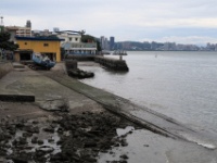 IMG 4455