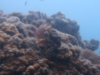 IMG 0172