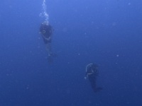 IMG 0250