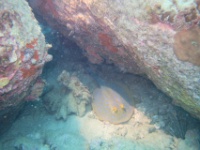 IMG 0284