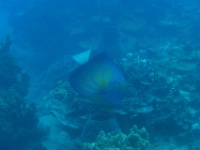 IMG 0373