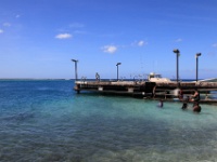 IMG 0616D