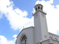 IMG 0711D