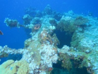 IMG 6117D