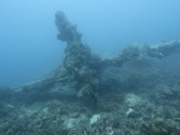 IMG 7297D