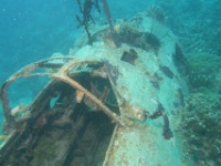 IMG 7369D