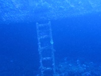 IMG 7488D