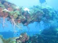IMG 7993D