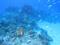 IMG 8801D