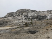 IMG 0230