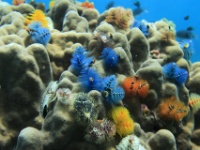 IMG 7213D