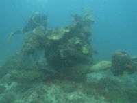 IMG 0189