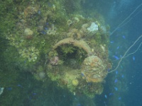IMG 0339
