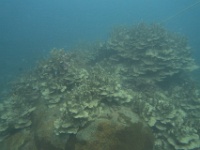 IMG 0386