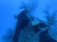 IMG 0645