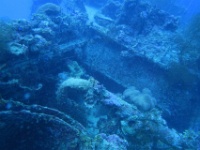 IMG 0652