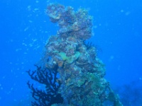 IMG 0685