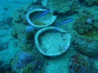 IMG 0739