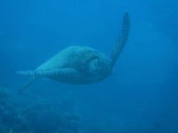 IMG 0077