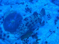 IMG 6565