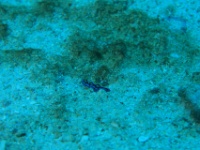 IMG 6692