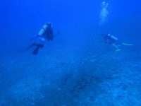 IMG 6946