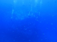 IMG 6967