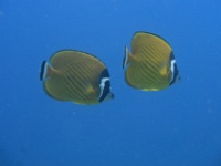 IMG 7427