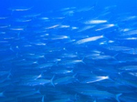 IMG 7580