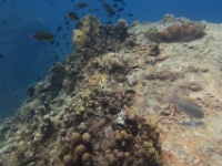 IMG 7680