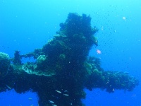 DSC04775