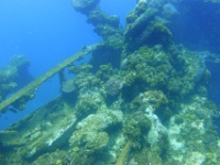DSC05075
