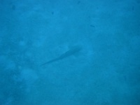 DSC05470