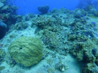 DSC05561