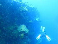 DSC06082