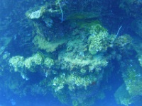 DSC06084