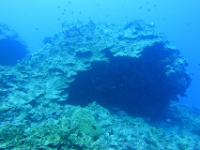 DSC06558
