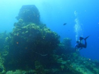 DSC07013