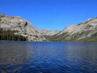 IMG 0445