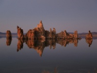 IMG 0496