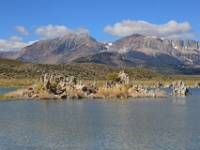 IMG 0581