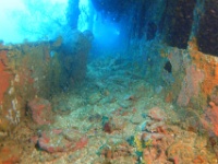 DSC06628