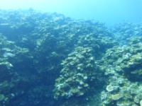 DSC01998