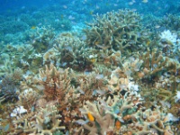 DSC02302
