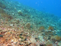DSC02324