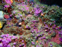 DSC05440