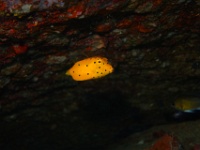 DSC05990